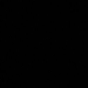 Meet your Posher, Tony